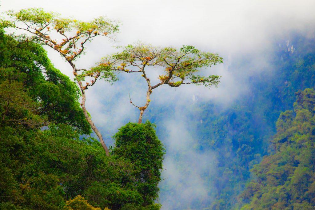 Foto: Nicolas Quendez, Sernanp