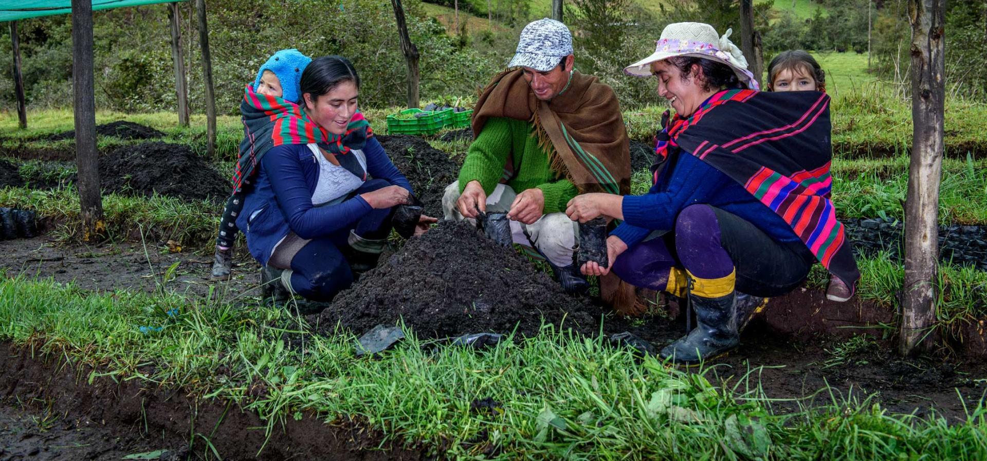 Proyecto fida merese