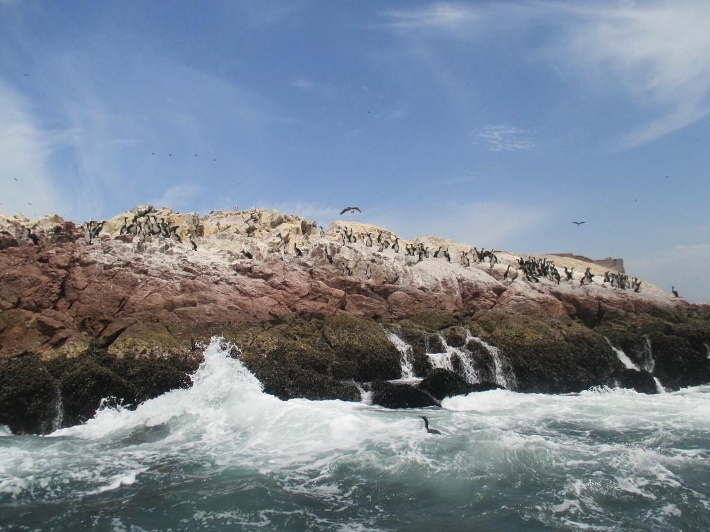 ubicacion proyecto pan iii