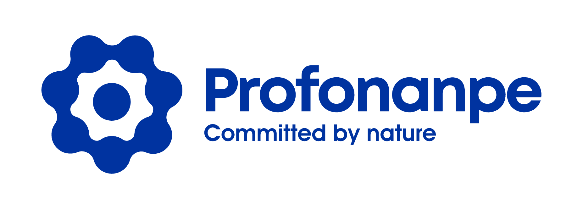 Logo Profonanpe Inglés_Mesa de trabajo 1