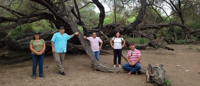 WhatsApp-Image-2024-02-01-at-10.40.53-AM-3