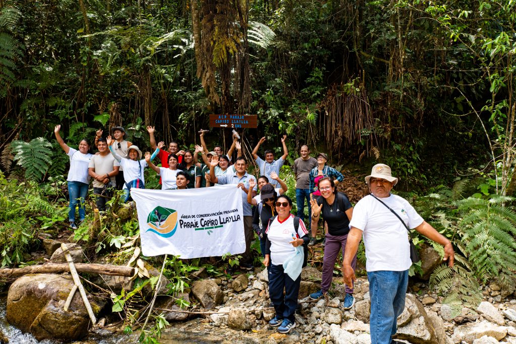 The Private Conservation Area Paraje Capiro Llaylla is one of the winners of the 2025-1 call for proposals for the Tropical Forests 2025-1 competitive fund.