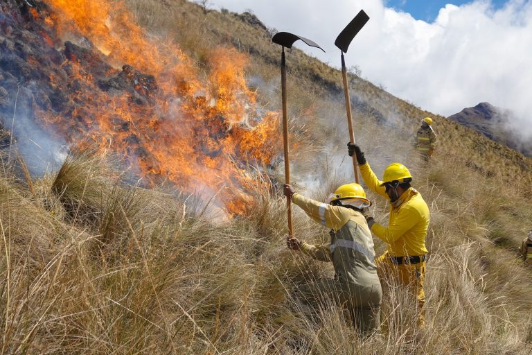 The field practices were led and supervised by park rangers from the Pui Pui Protected Forest - Sernanp.