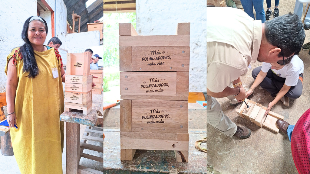 Making a rational box for breeding native bees