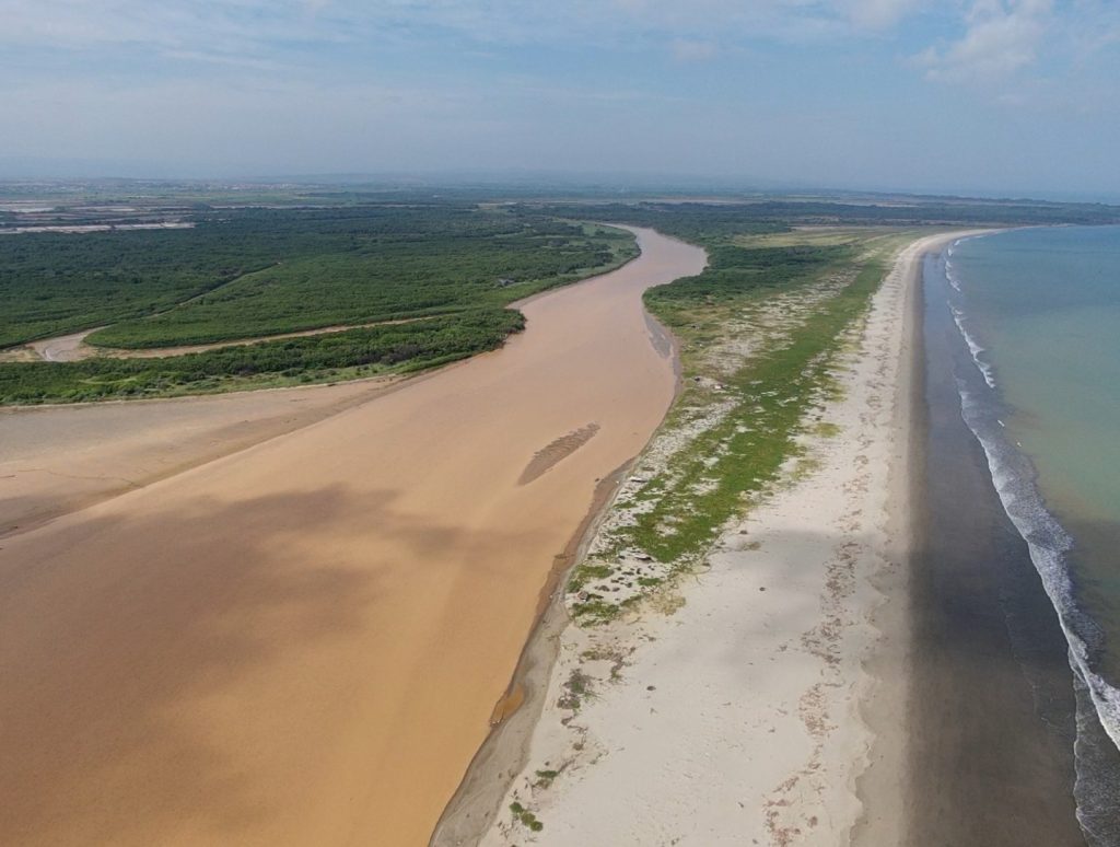 Aerial view of the confluence of the Tumbes River with a section of the mangrove ecosystem Photo: Jeison Dioses Puelles
